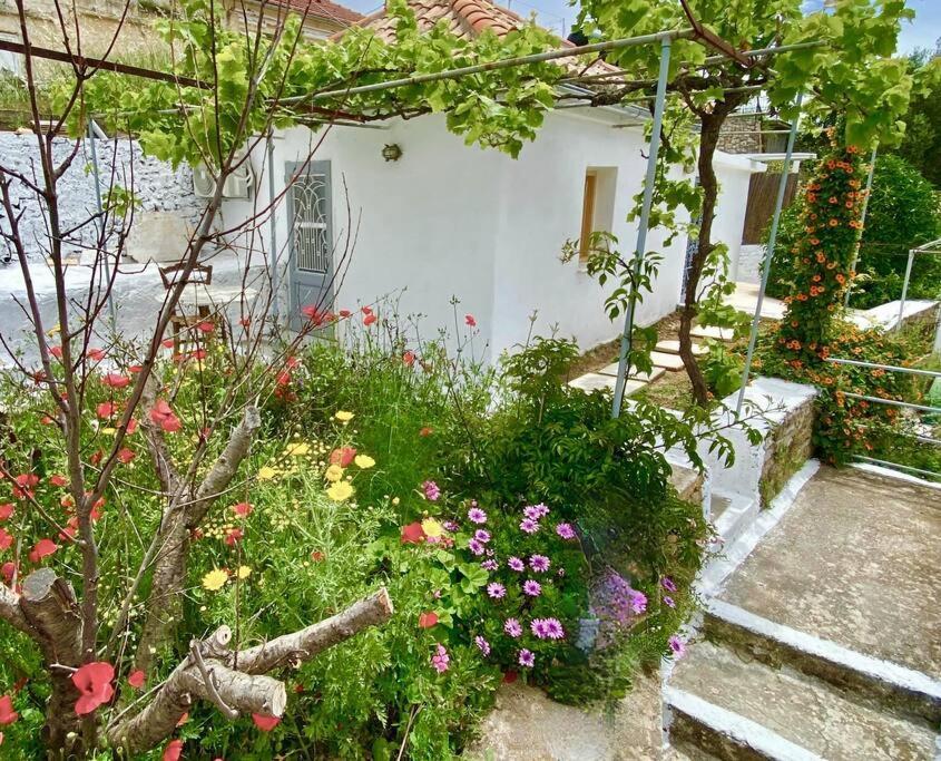 Stylish Vathy Studio With Sea View Εξωτερικό φωτογραφία